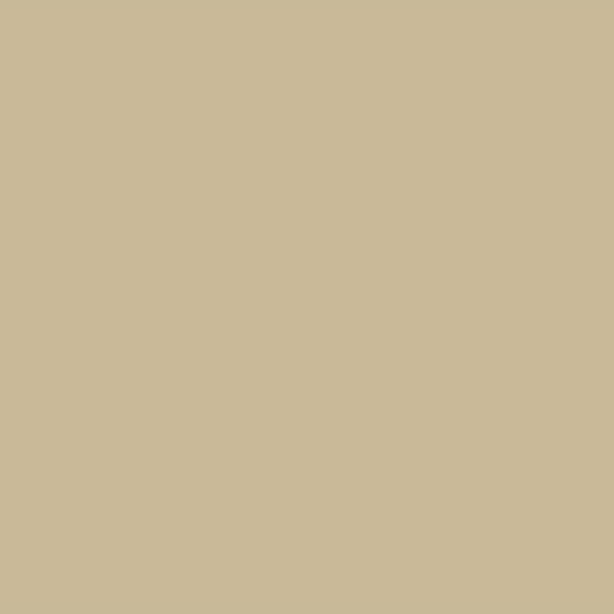 sand-beige-circle